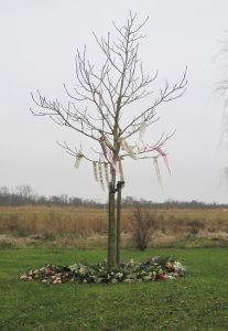 Boom onafhankelijke uitvaartzorg